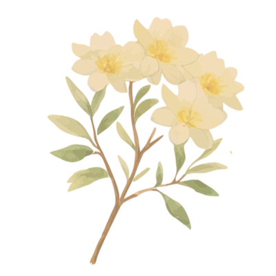 Flower 1