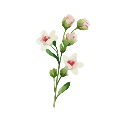 Flowers 33