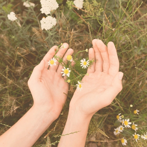 Hands and Flowers