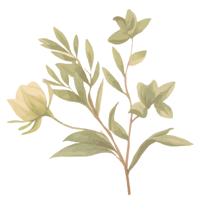 Leaves 2