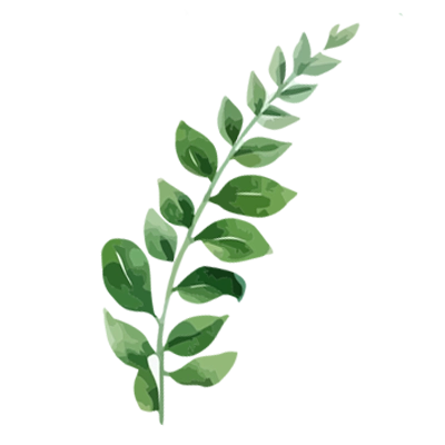 One Leaf 2